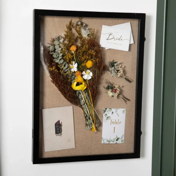 Modern 18x24 Shadow Box Display Case with Pins and Pine Frame